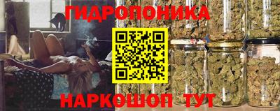 альфа пвп Камышлов
