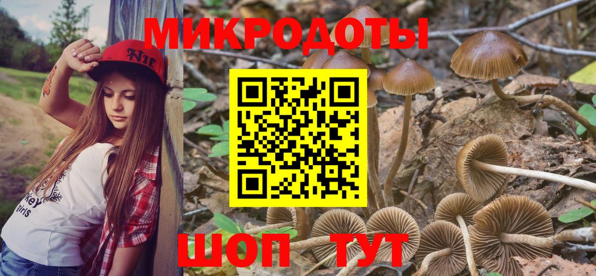 Галлюциногенные грибы Psilocybine cubensis Черемхово