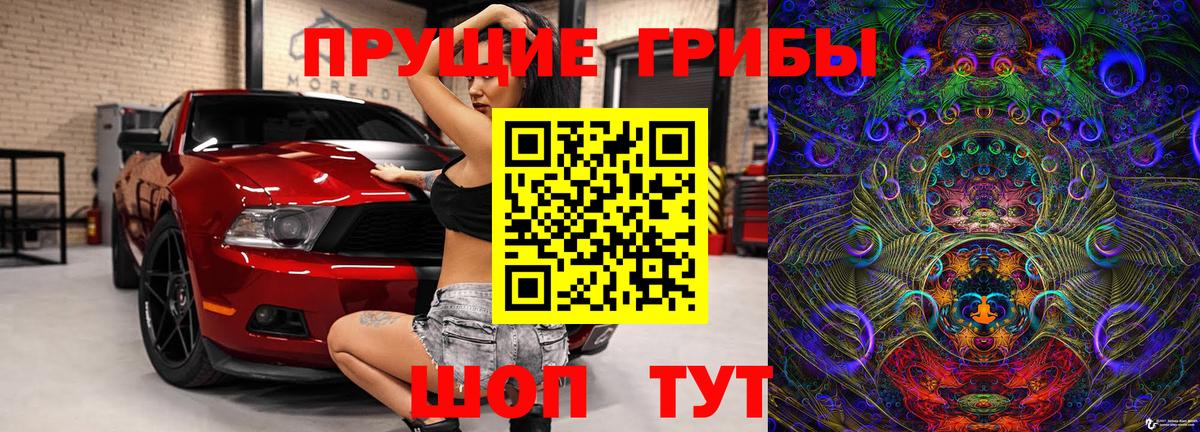 наркотики  Псилоцибиновые грибы Psilocybine cubensis  Вход с VPN  Черемхово 